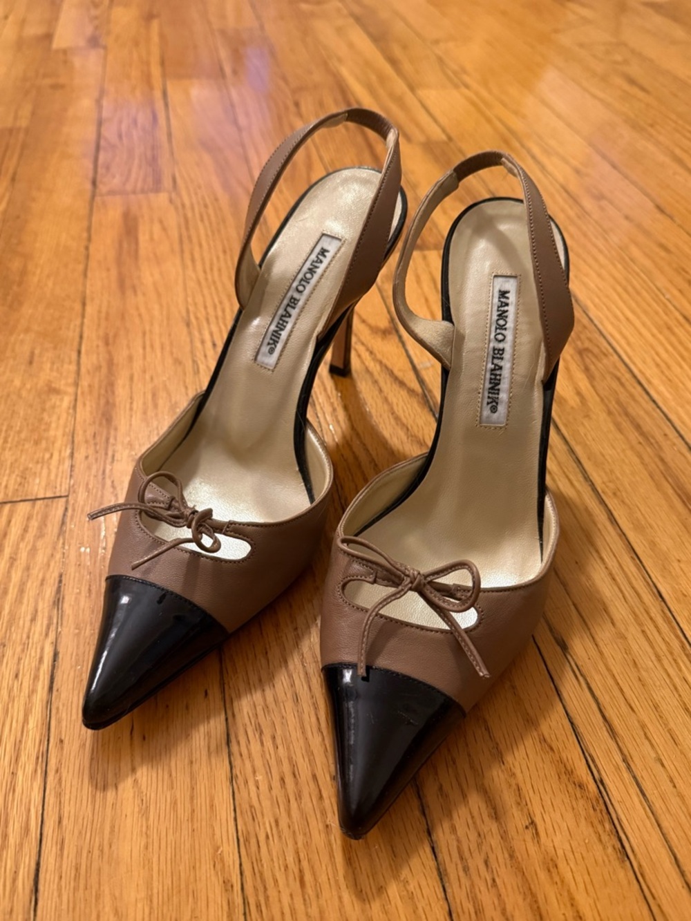 Manolo Blahnik Colorblock Slingback Pumps